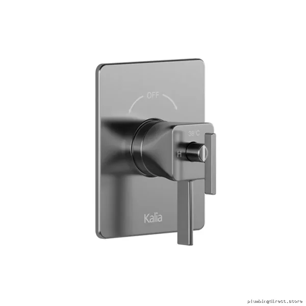 SquareOne Dual Outlet Thermostatic Valve with Coaxial Diverter & Chrome Trim