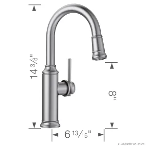 Blanco Empressa Pull-Down Bar & Prep Faucet - Stainless Steel 442513
