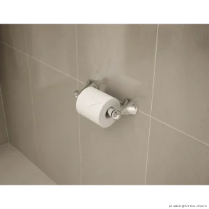 Stylish Chrome Wall Mount Toilet Paper Holder by Symmons