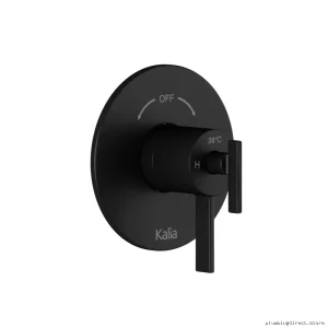 Stylish Matte Black Trim Kit for Two-Way Thermo-Coax Valves w/ Built-In Diverter - RoundOne Model #Kalia