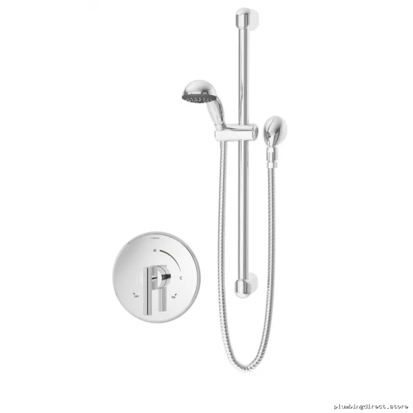 Symmons Durable Chrome Wall-Mounted Hand Shower System
