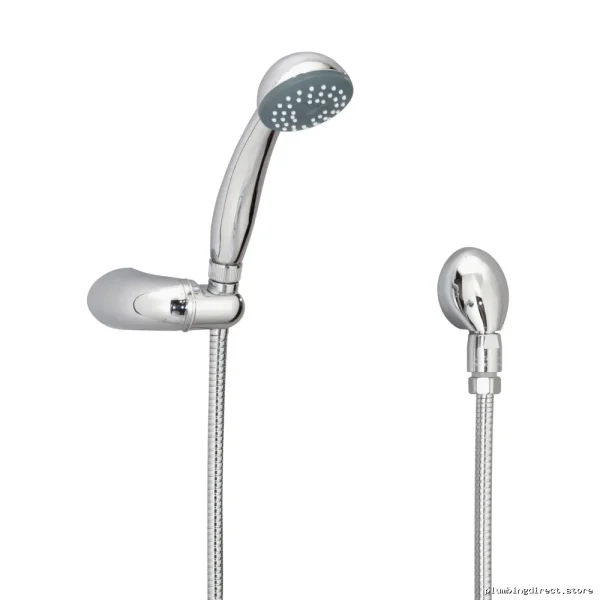 Symmons H301-V Single-Function Chrome Handheld Shower Assembly
