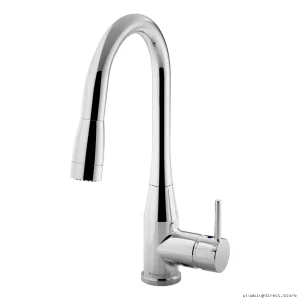 Symmons Polished Chrome Pull-Down Kitchen Faucet S-2302-PD Sprayer