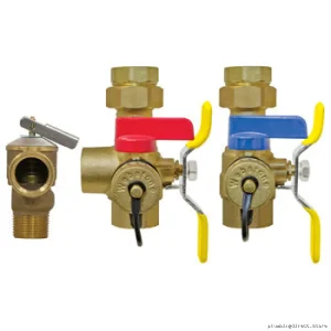 Tankless Water Heater Service Valve Kit for E-X-P E2 3/4 IPS