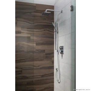 TempAssure T27T967-SS Delta 17T Series Shower Valve Trim – 3-Setting Diverter