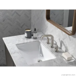 Tetra Lumicoat Stainless Steel Widespread Bathroom Faucet with Delta Valve