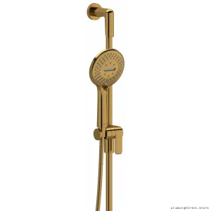 Three-in-One Showerhead w/ Adjustable Slidebar - Water-Efficient Design - Bld-Gld