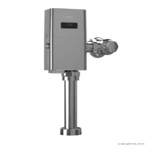 Toto Polished Chrome EcoPower 4.8L Water-Saving Flush Valve Replacement