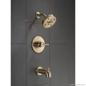 Trinsic Monitor 14 Series Tub & Shower Trim Set in Champagne Bronze - T14459-CZ Delta