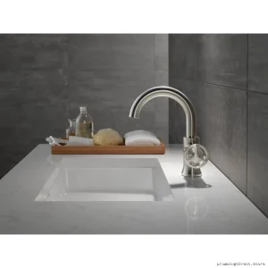 Stainless Steel Single-Hole Bathroom Faucet by Trinsic - Modern Design