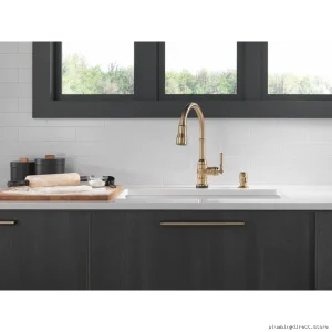 Wall-Mounted Broderick Soap Dispenser | Champagne Bronze RP100632CZ Sleek Design