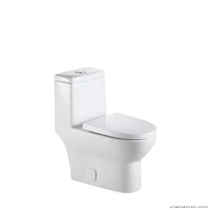 Comfort Height One-Piece Dual Flush Water-Saving Toilet - White