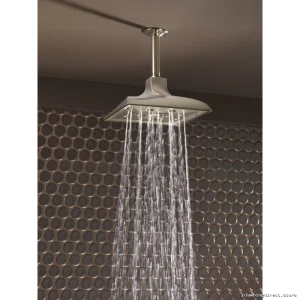 Water-Saving High-Presure Ceil-Mount RAINCAN SHOWER