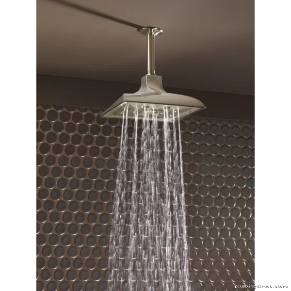 Water-Saving High-Presure Ceil-Mount RAINCAN SHOWER