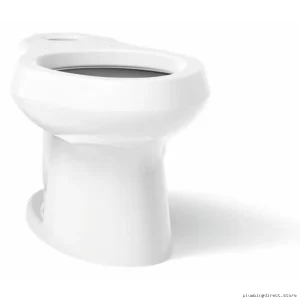 Elongated Toilet Bowl by Wellworth - White Modern Comfort Design (Kohler Equivalent) Model 4198-0