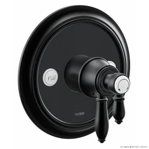 Weymouth M-Core 4 Series Shower Valve Trim Matte Black for Moen